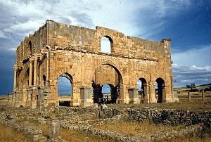 ALGERIE-RUINES ROMAINES DE LAMBESE (29)